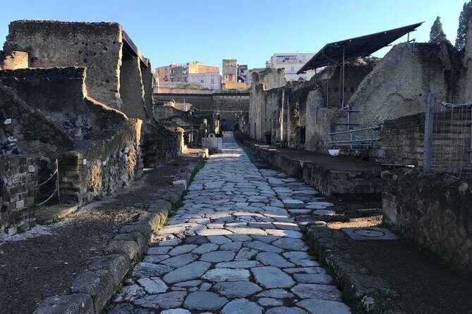 Herculaneum - Private Tour (skip-the-line admission included) - Parco Acheologico di Ercolano: Houses, Shops, Baths, and Streets