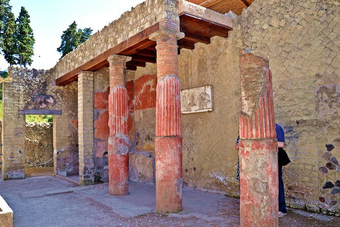 Herculaneum Private Tour with an Archaeologist - Casa dei Cervi: Sea Views and Luxury After the Disaster