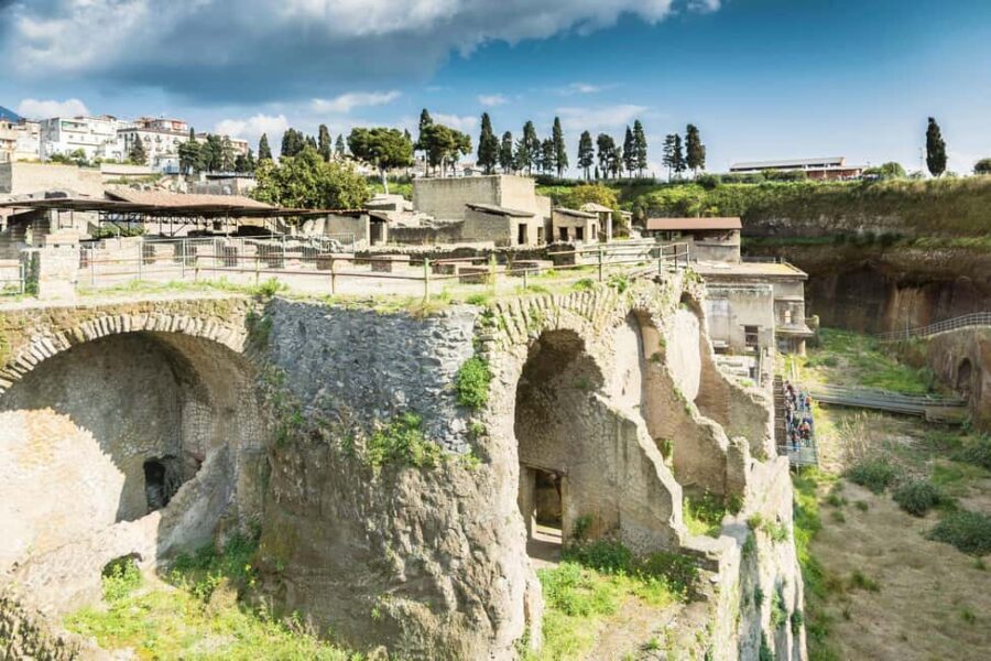Herculaneum: Private Tour with Driver from Naples - Price and value: is $147 per person fair?