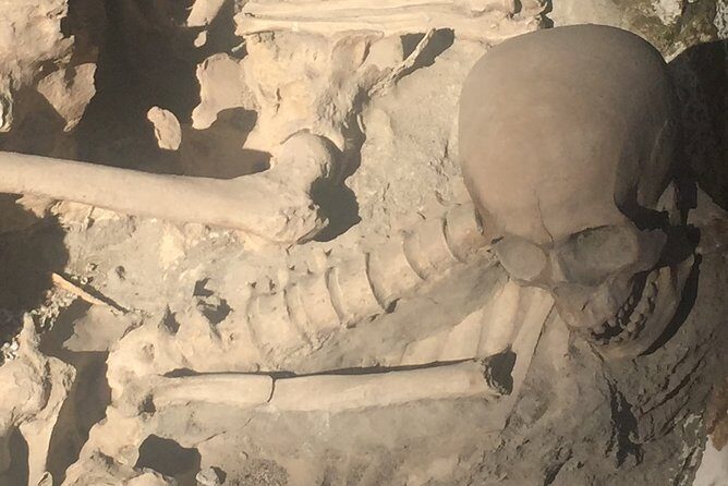Herculaneum Private Walking Guided Tour 2 hours - Meeting at Ercolano Scavi and making the 9:00 start work