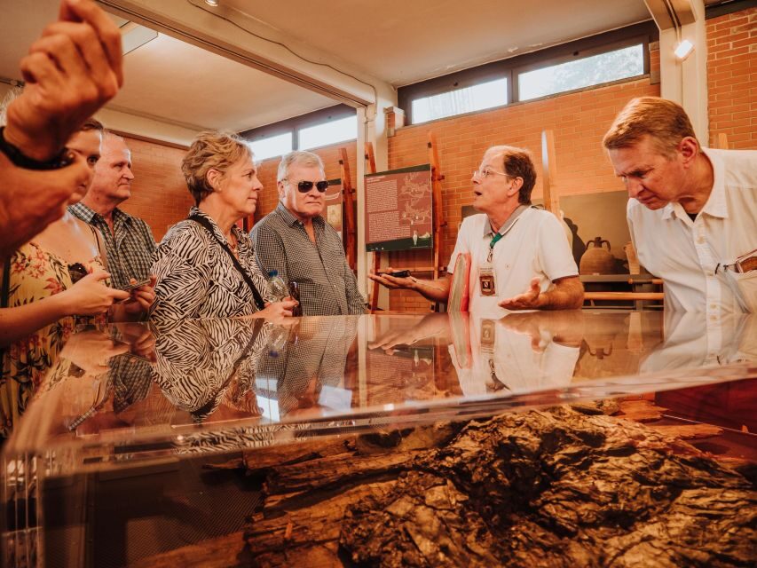 Herculaneum: Private Walking Tour with Archeologist Guide - A Private 2-Hour Walk That Actually Moves