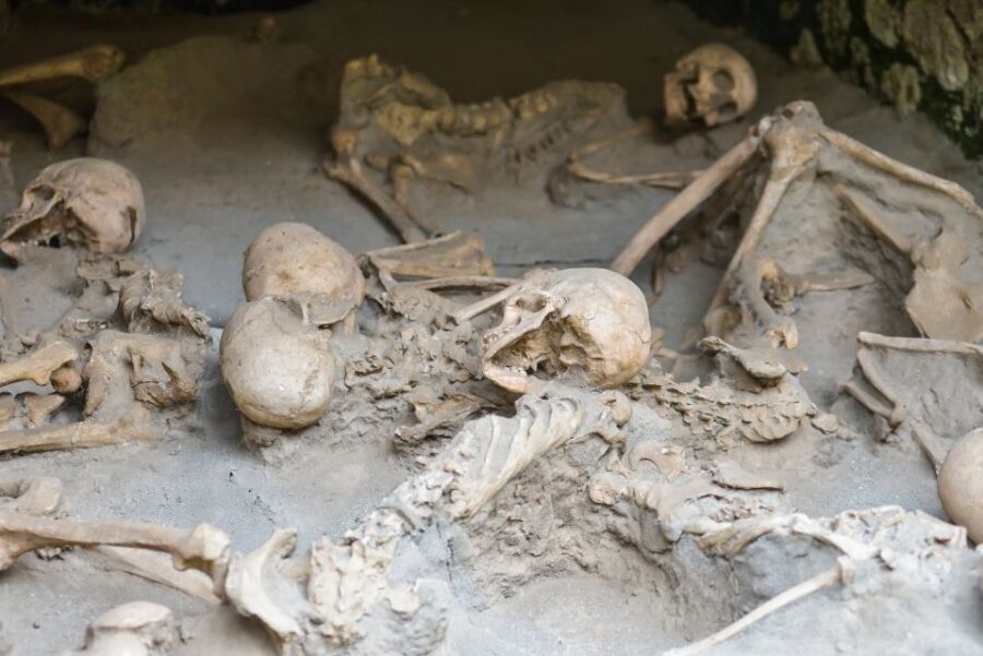 Herculaneum: Private Walking Tour with Archeologist Guide - The Forum and the Town Highlights: Roman Life at Street Level