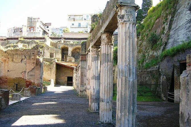 Herculaneum ruins and Naples Center Full Day Private Tour From Rome - The key Naples stops: Piazza del Plebiscito, castles outside, and Via Toledo energy