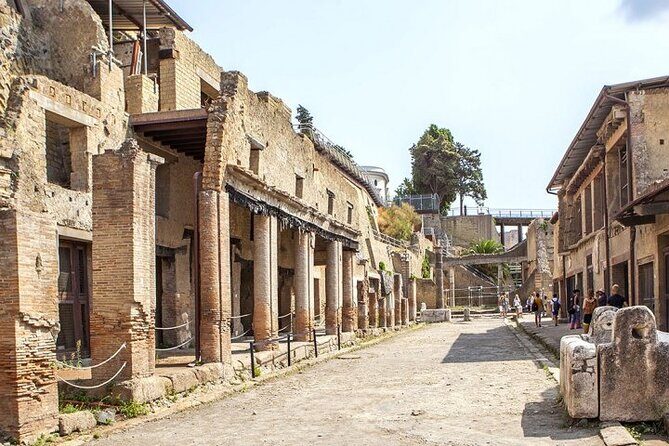 Herculaneum ruins and Naples Center Full Day Private Tour From Rome - Private ride from Rome: comfortable, but you’re paying for convenience