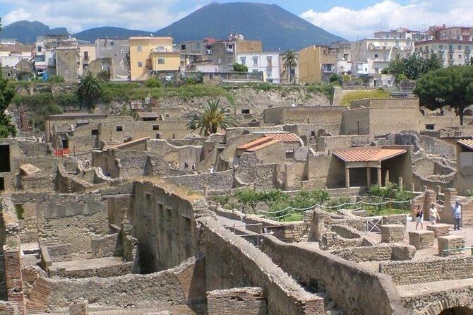 Herculaneum Ruins Private Half-Day Tour - Price and Value: Is $212.76 Per Person a Good Deal?