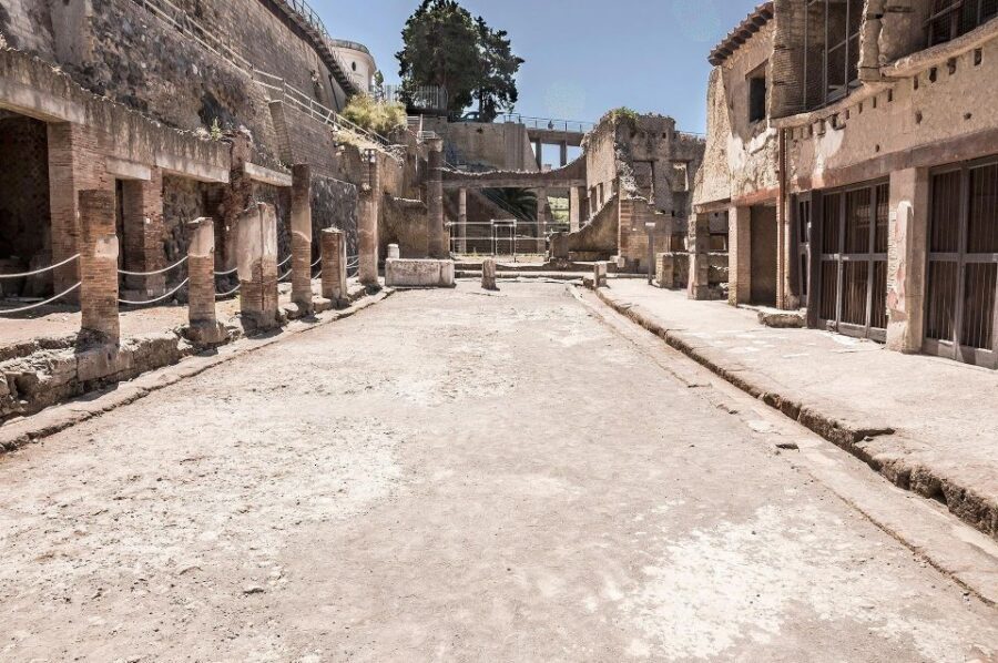 Herculaneum: Skip-the-Line Entry Ticket with Audio Guide - Where to Go and What to Expect at the Check-In Desk