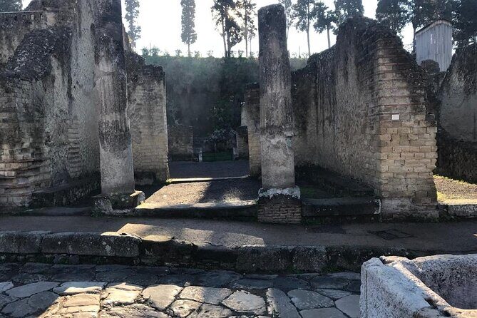 Herculaneum - Small Group Tour - A two-hour Herculaneum that actually works