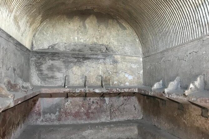 Herculaneum - Small Group Tour - Who should book this Herculaneum small-group tour?