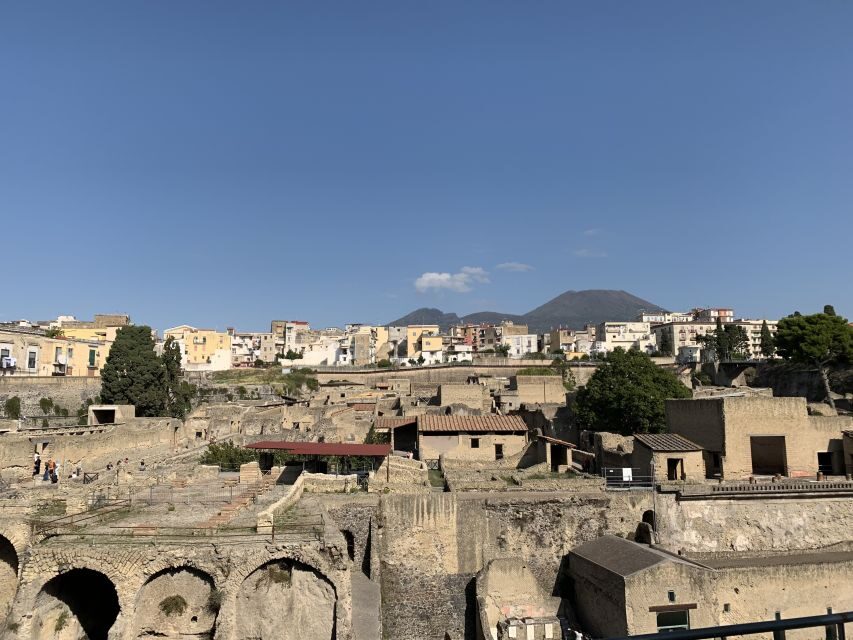 Herculaneum: Tickets & Tour with a Local Archaeologist - Who Might Love This Tour (and Who Should Think Twice)