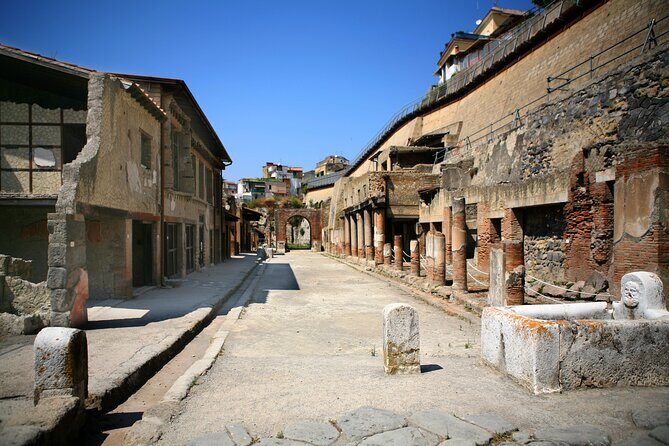 Herculaneum, Vesuvius and Pompeii Full Day Tour from Naples - Naples to Herculaneum, Vesuvius, Pompeii: the real shape of this day