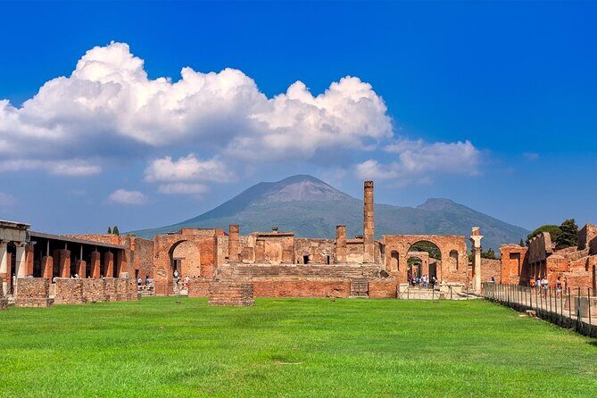 Herculaneum, Vesuvius and Pompeii Full Day Tour from Naples - Vesuvius National Park: crater views plus steep walking reality