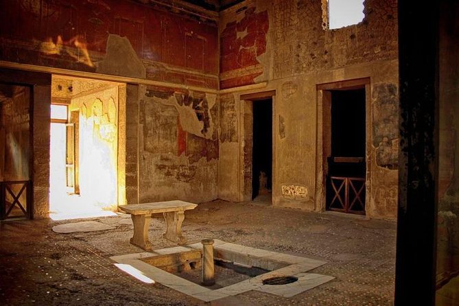 Herculaneum-Wine tour from Sorrento, with licensed guide included - Key highlights that drive the value