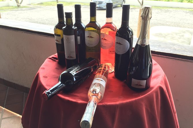 Herculaneum-Wine tour from Sorrento, with licensed guide included - Herculaneum from Sorrento: why this pairing works