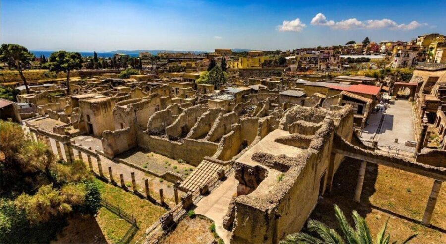 Herculaneum with an Archaelogical Guide & Ticket - Herculaneum in 4 hours: a morning after Vesuvius
