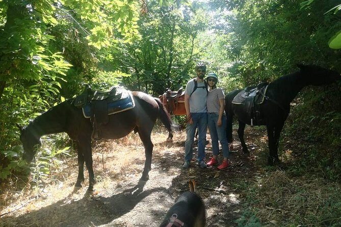 Horse Riding on Mount Vesuvius - Why This Vesuvius Horse Ride Feels Worth It