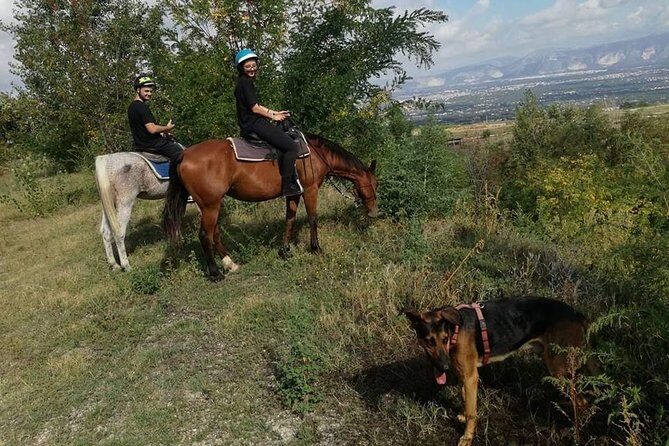 Horse Riding on Mount Vesuvius - Optional Horse Grooming, Plus a Proper Aperitivo