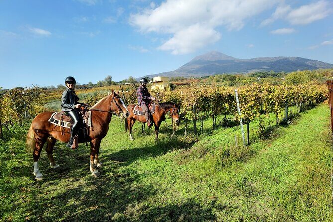 Horseback Riding on Vesuvius - Vesuvius from horseback: the best kind of close-up
