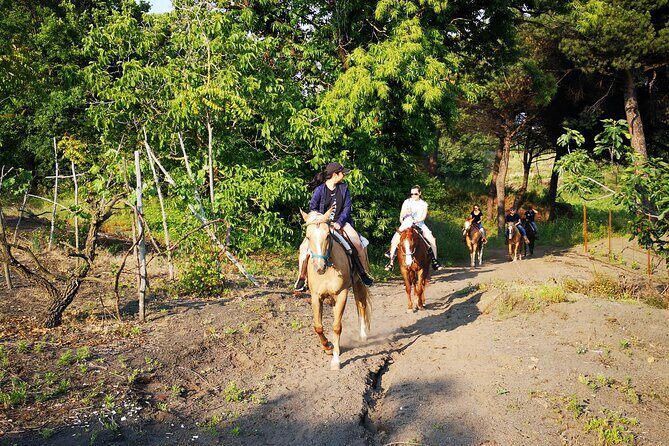 Horseback Riding on Vesuvius - Pace and control: why you won’t be trotting to the views