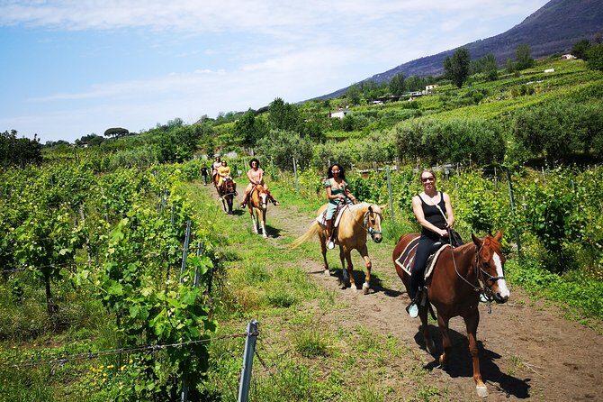 Horseback Riding on Vesuvius - The Vesuvius National Park ride: panoramic stops without the crater