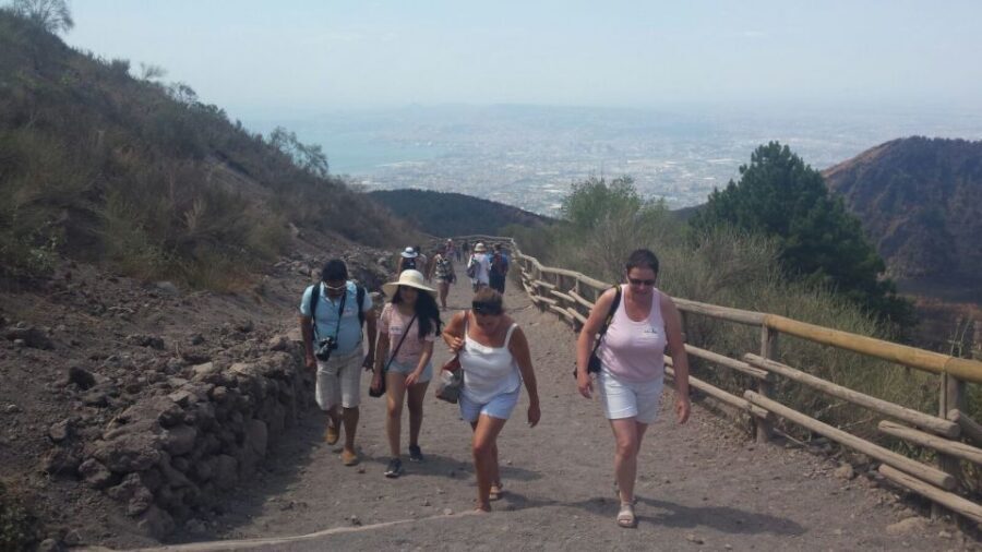 Mount Vesuvius 4-Hour Volcano Tour with Wine Tasting - Stop at Vesuvius: skip-the-line time and crater views