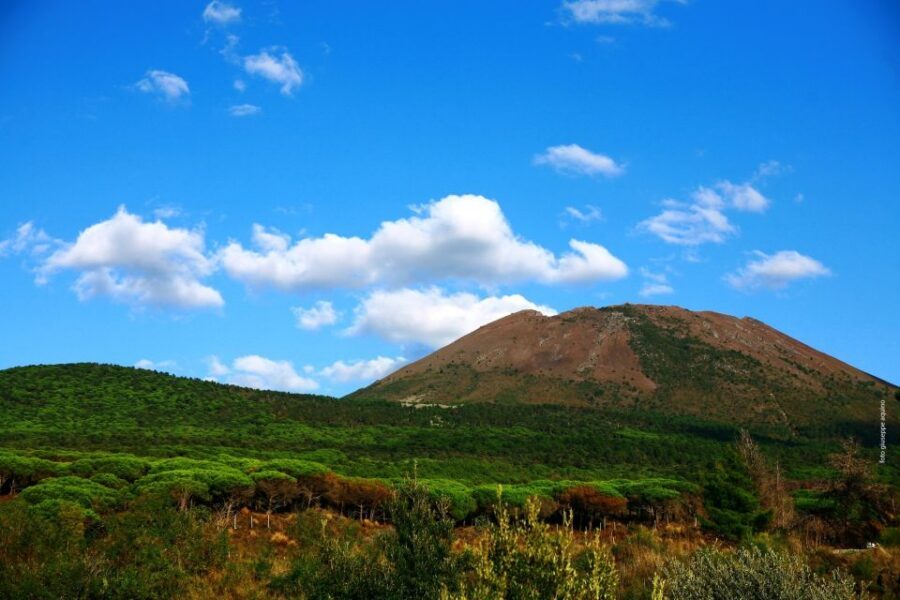 Mount Vesuvius 4-Hour Volcano Tour with Wine Tasting - Should you book this Mount Vesuvius tour?