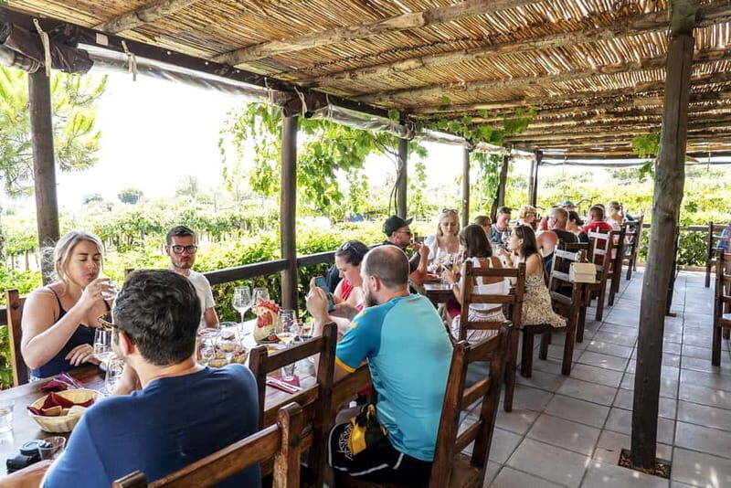 Mount Vesuvius: 5 Wine Tastings with Tour & Lunch Included - Value for Money: Why This Price Can Make Sense