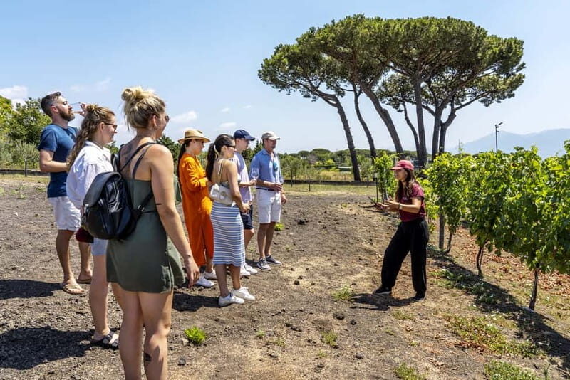 Mount Vesuvius: 5 Wine Tastings with Tour & Lunch Included - Where to Meet: Cantina del Vesuvio Winery and Free Parking