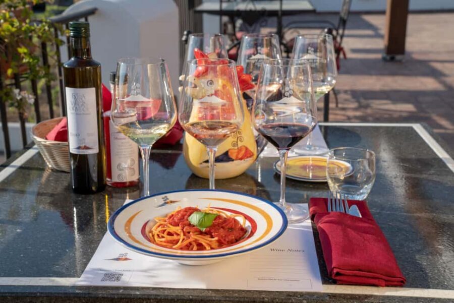 Mount Vesuvius: 5 Wine Tastings with Tour & Lunch Included - Vineyard Walk: Volcanic Soil and Why Vesuvius Matters