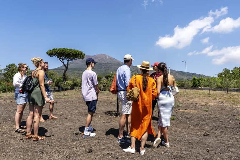 Mount Vesuvius: 5 Wine Tastings with Tour & Lunch Included - What I’d Bring (Other Than an Appetite)
