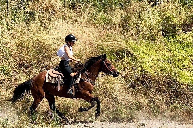 Mount Vesuvius Guided Horse Riding Tour with Sample Wine - The Horses and the Guide: What the Experience Feels Like