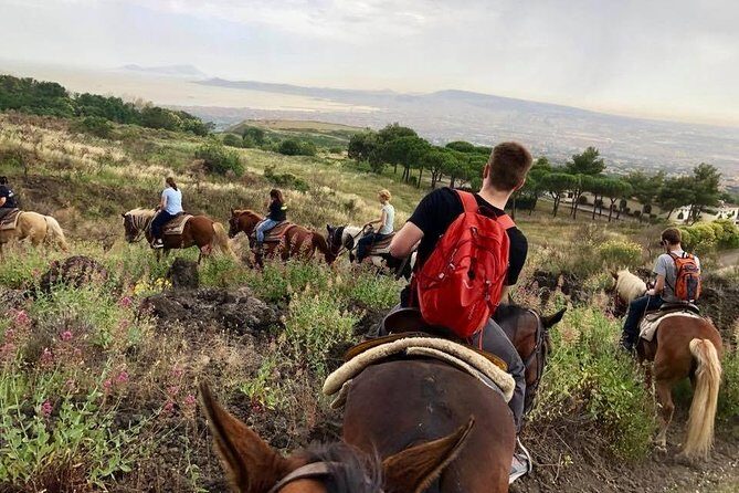 Mount Vesuvius Guided Horse Riding Tour with Sample Wine - Who This Tour Suits Best (and Who Might Prefer Something Else)