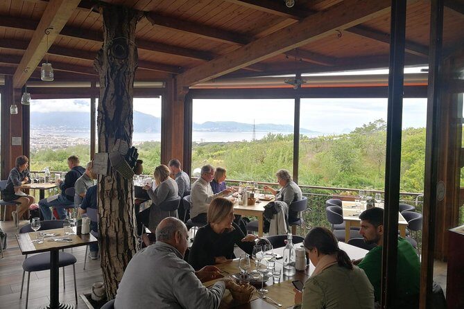 Mount Vesuvius Shore Tour, Pompeii & Winery Vesuvius Winery - Cantina del Vesuvio in Trecase: Wine Tasting With Volcano Views