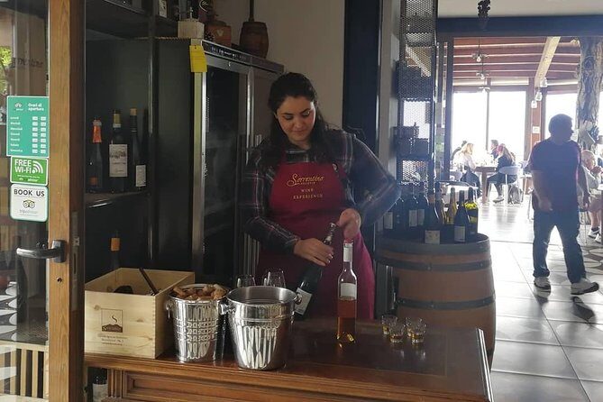 Mount Vesuvius Shore Tour, Pompeii & Winery Vesuvius Winery - Best Fit: Who This Tour Suits (and Who Might Struggle)