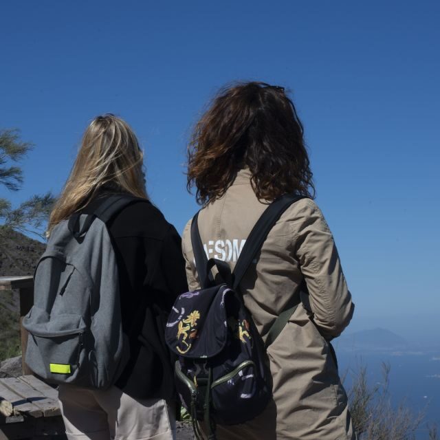 Mount Vesuvius: Skip-the-Line Ticket and Smart Digital Guide - Skip-the-Line Vesuvius Entry: how much it’s worth