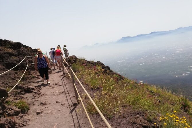 Mount Vesuvius tour by bus and ticket included from Ercolano - Timing Rules That Keep You From Missing the Return Bus
