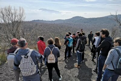 Mount Vesuvius tour by bus and ticket included from Ercolano - Gran Cono Path n°5: What the Hike Feels Like (and What You Get)