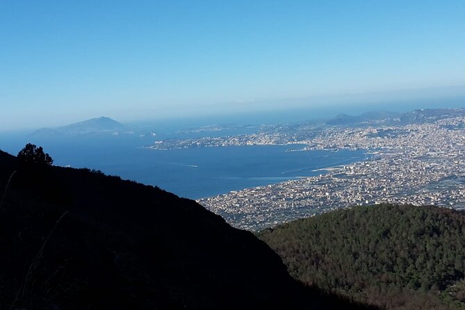 Mount Vesuvius tour by bus and ticket included from Ercolano - Coffee, Food, and Bathrooms: Small Details That Matter Here