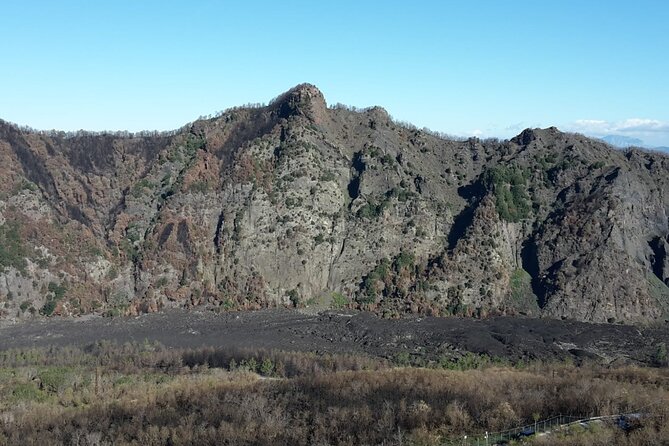 Mount Vesuvius tour by bus and ticket included from Ercolano - Price vs Value: Why $50.33 Often Beats DIY