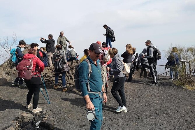 Mount Vesuvius tour by bus and ticket included from Ercolano - Weather and the Real Deal With Vesuvius Scheduling