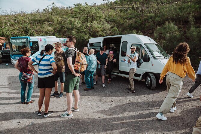 Mount Vesuvius Tour from Pompeii Led by an Expert Guide - Who this tour is best for (and who should pass)