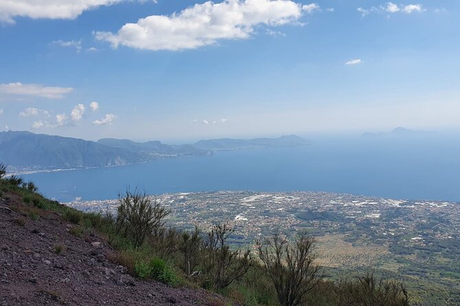 Mount Vesuvius Tour with Entry Ticket & Lunch - Sorrentino Winery lunch: Piennolo tomatoes and three pours