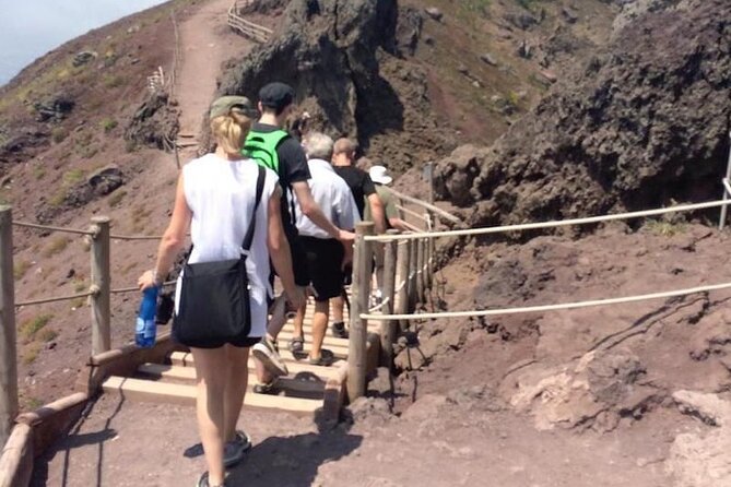 Mount Vesuvius Tour with Entry Ticket & Lunch - Who should book this Vesuvius + winery tour