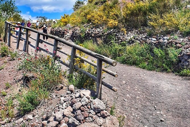 Mount Vesuvius Tour with Entry Ticket & Lunch - Weather, safety, and how the day adjusts