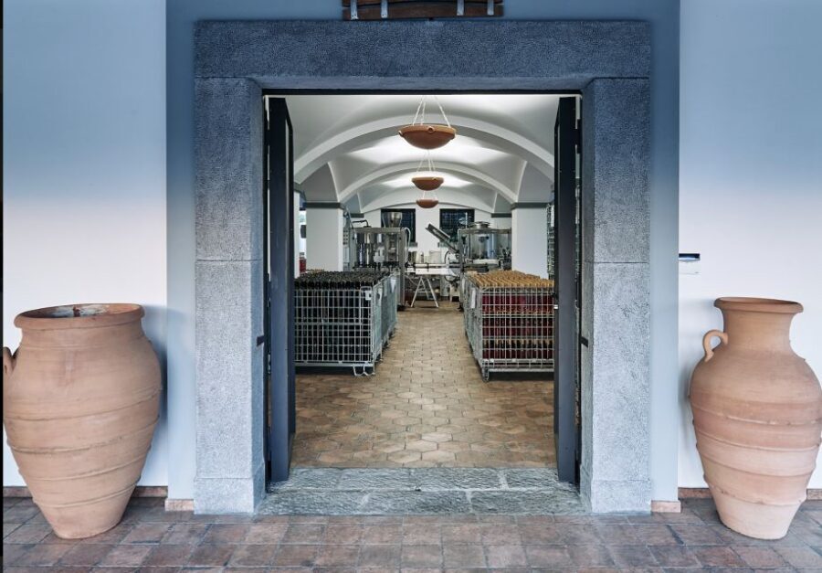 Mount Vesuvius: Vineyard Tour with Wine Tasting and Lunch - Lacryma Christi DOC tastings: how the flavors are structured