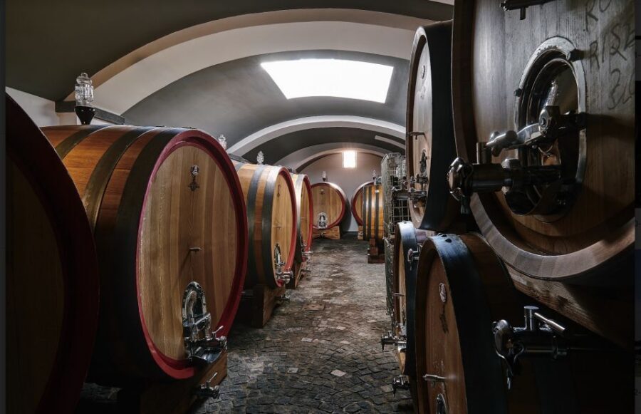 Mount Vesuvius: Vineyard Tour with Wine Tasting and Lunch - The view factor: Bay of Naples, Sorrento, and Capri