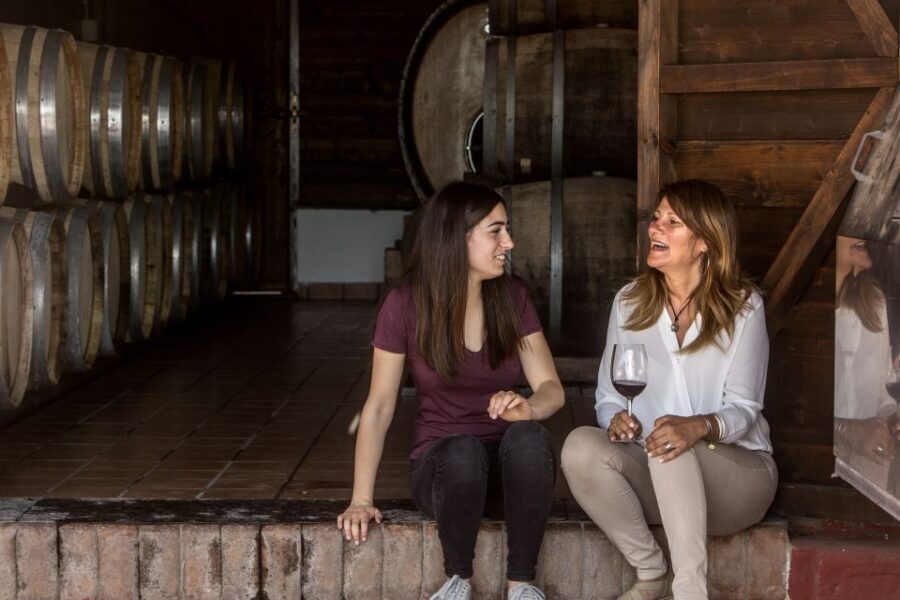 Mount Vesuvius: Vineyard Tour with Wine Tasting and Lunch - Price and timing: is $65 worth it for what you get?