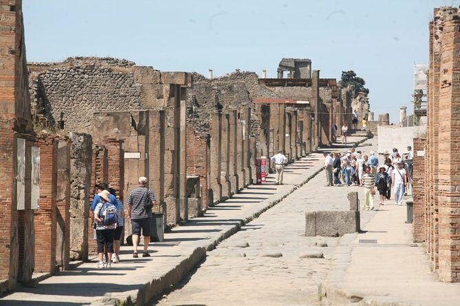 Mt. Vesuvius and Pompeii Full-Day Tour from Sorrento - Price and ticket value: what you’re paying for