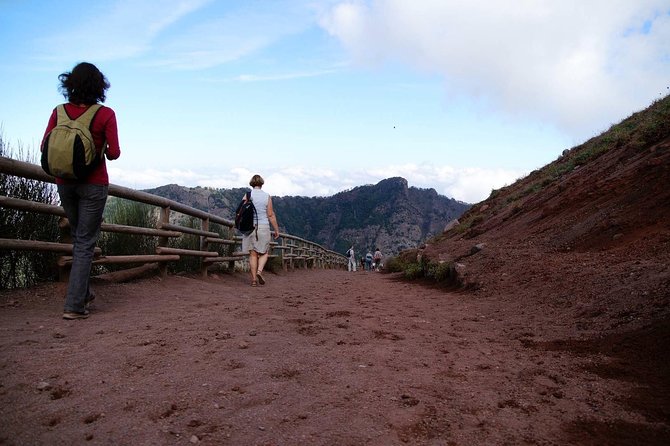 Mt Vesuvius and Pompeii Tour by Bus from Sorrento - The Vesuvius walk: pace it, and your reward comes fast