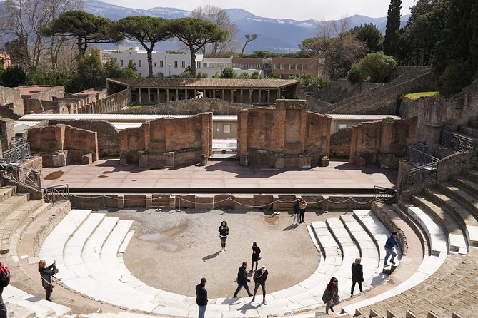 Mt Vesuvius and Pompeii Tour by Bus from Sorrento - Price and value: what you’re paying for at $149.65
