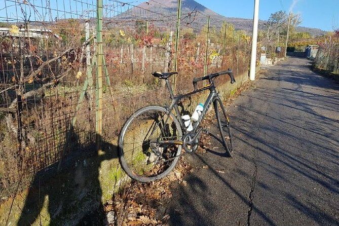Mt Vesuvius E-Bike Tour - Price and value: is $142.98 per person fair for this experience?